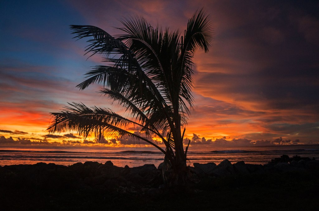 getting used to&nbsp;bugs