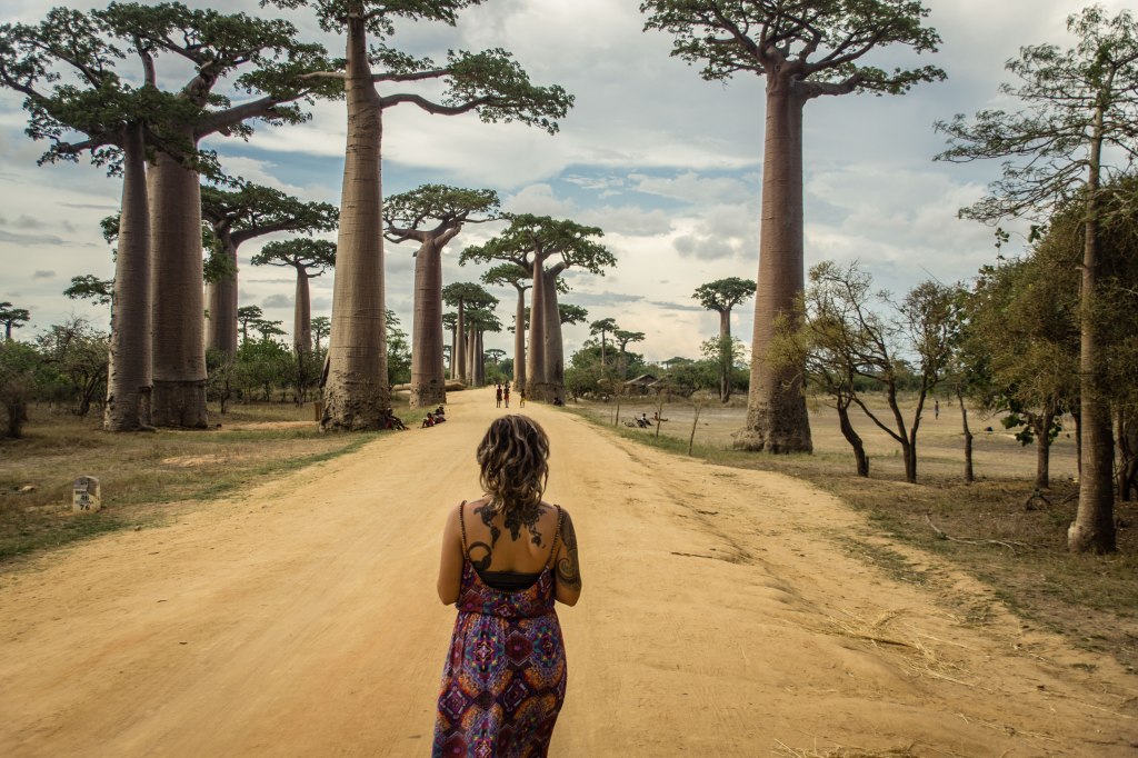 A Guide to Madagascar: The West Coast, Like a Setting in a&nbsp;Fairytale