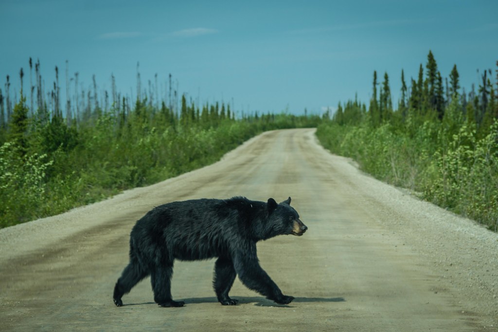 travel mishaps: when things go wrong, but still work&nbsp;out