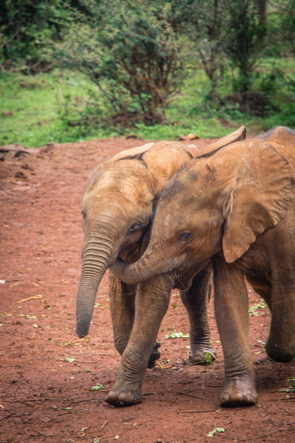 making sense of responsible, sustainable, ethical and eco-friendly&nbsp;tourism